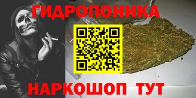 скорость Будённовск