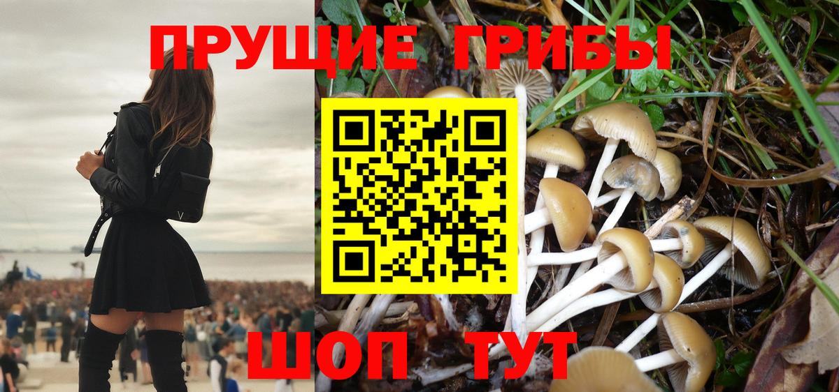 Галлюциногенные грибы мицелий  Вход с VPN  Красноярск  где найти наркотики  Галлюциногенные грибы Cubensis 