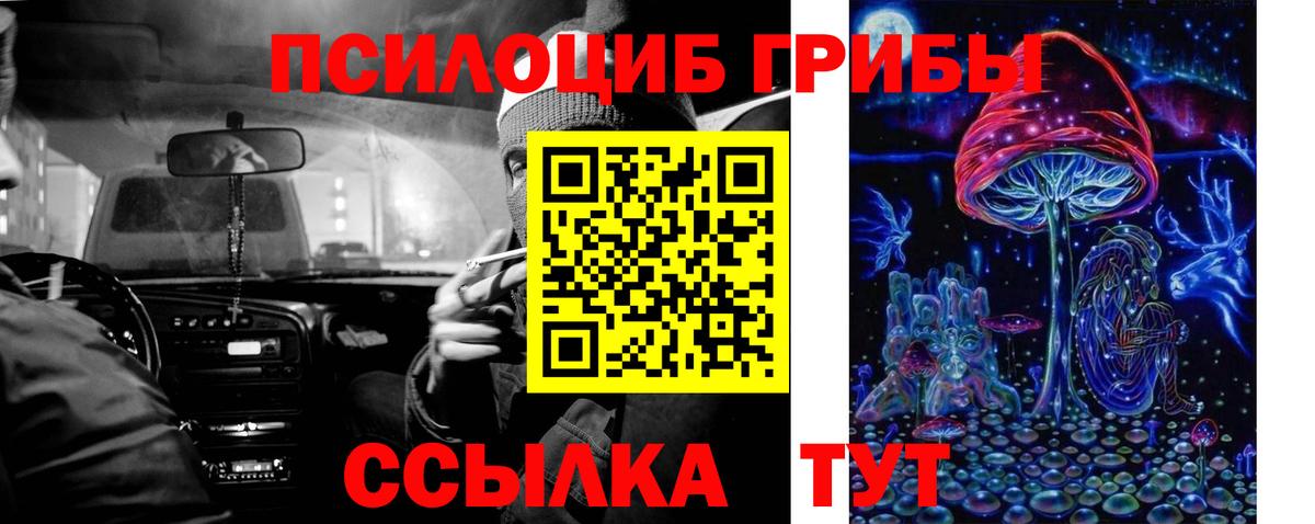 Псилоцибиновые грибы MAGIC MUSHROOMS Красноярск